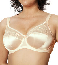 Kristie Underwire Bra